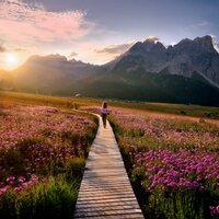 Armonía Suave Para La Noche - Dhyana Uno & Ayuda para dormir para el insomnio & Musica Para Dormir y Sonidos de la Naturalezal