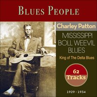 Revenue Man Blues - Charlie Patton