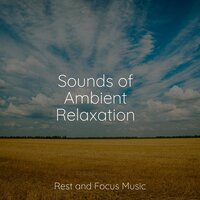 Clear Wandering - Entspannungsmusik Oase & Deep Sleep Music Experience & Deep Sleep Music Academy