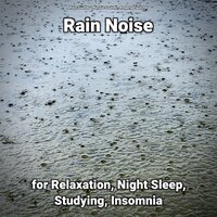 Rain Noise Pt. 78 - Nature Sounds & Rain Sounds & Regengeräusche