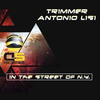 In the Street of N.Y. - Trimmer & Antonio Lisi