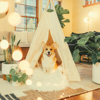 Warm (Separation Anxiety) - Original Dog Calming Music