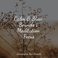 Clear Mind - Deep Sleep Systems & Spa Music Collective & Baby Relax Music Collection