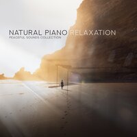 Quiet Feelings - Invisible Piano Sounds Universe