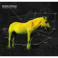 Petit faucheux - Edward Perraud