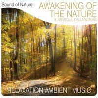 Violetta - Sound of Nature Band