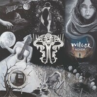 What It Means - Wilcox