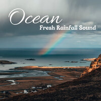 Unmodified Raindrops - Rain Radiance & Rain Palace & White Noise Rain