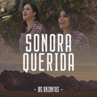 Sonora Querida - Los Cenzontles & David Hidalgo