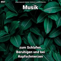 Zarte Melodien - Entspannungsmusik & Schlafmusik & Entspannungsmusik Abteilung