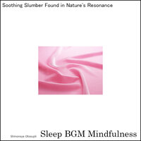 Restorative Resonance In The Night's Embrace - Sleep BGM Mindfulness