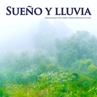 Ayuda para dormir - Musica Relajante Para Dormir & Lluvia para dormir & Musica relajante