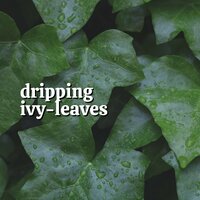 Natures Lullaby Relaxing Sounds of Rain, Pt. 14 - Rain Storm Sample Library