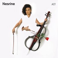 Vitamin C - Nesrine
