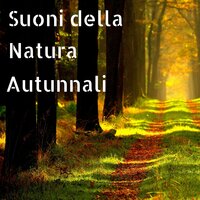 Autostima - Natura Armonia