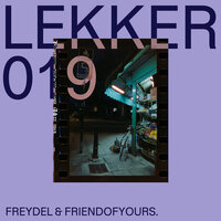 Slow Down - Freydel & friendofyours.