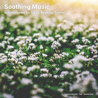 Background Music - Entspannungsmusik & Yoga & Relaxing music