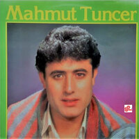 Pınar Başından Bulanır - Mahmut Tuncer