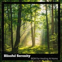 The Sound of Music - Blissful Serenity