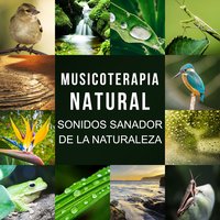 Temprano en la Mañana - Academia de Música con Sonidos de la Naturaleza