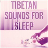 Sound Therapy - Stages of Sleep Music Universe
