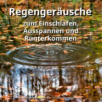 Regengeräusche zur Regeneration - Regen zur Entspannung Susanna Igel & Naturgeräusche & Regengeräusche