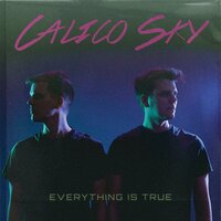Burn Down The Roxy - Calico Sky