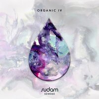 Voce - Ivan Masa