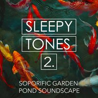 Soporific Garden Pond Soundscape, Pt. 11 - Jason Rivers