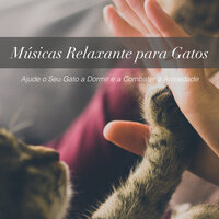 Tons Relaxantes - RelaxMyCat & Cat Music Dreams & Pet Music Therapy