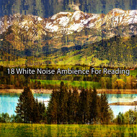 Инкапсулированное спокойствие - White Noise Research