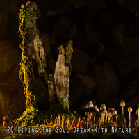 Ecology For The Brain - Sound Library XL