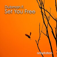 Set You Free - Dubman F.