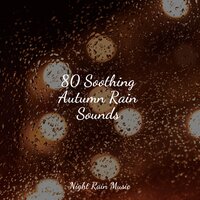 Rain, Storm and Thunder - Rain Forest FX & Weather Sounds & Yoga Trainer