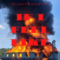 If I Feel Like - Ajondatrack & Mr. Sleepy