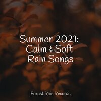 Light Rains - Rain Sounds & Rain Sound Studio & The Rain Library
