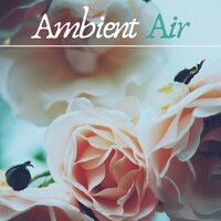 Calm and Peace - Ambient Music Therapy Room
