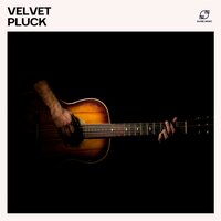 Palm Poetry - Guitar Music Zone & Guitar Music Oasis & Guitar Study Music & Acoustic Guitar Dreams