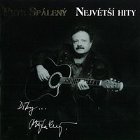 Hráč - Petr Spálený
