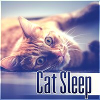 Beautiful Day - Pet Music Academy