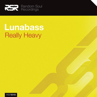 Curly Mullet - Lunabass & Random Soul