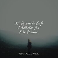 Seaside Warmth - Relaxing Nature Music & Tibetan Singing Bowls for Relaxation & Oasis de Détente et Relaxation