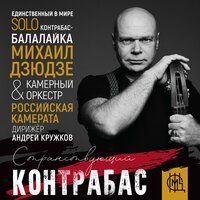 Сказка странствий - Михаил Дзюдзе & Губернаторский камерный оркестр "Российская камерата" под управлением Андрея Кружкова & Альфред Гарриевич Шнитке