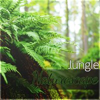 Serenity Calm in My Life (Massage) - Hypnosis Nature Sounds Universe