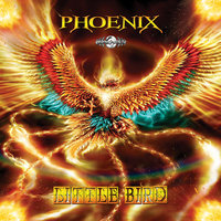 The Secret - Phoenix & Biokinetix