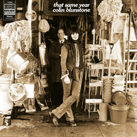 I Won't Let You Down - Colin Blunstone