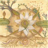 Spirit of Love - Markandeya & Joaquin Cornejo