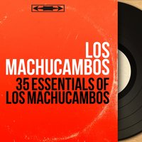 Chico Cha Cha Cha - Los Machucambos