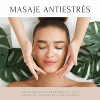 Levantar el Animo - Vitamin Therapy