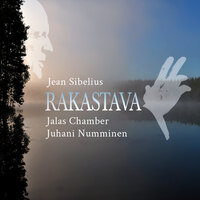 Kesällä Op. 117 - Jalas Chamber & Juhani Numminen & Ion Buinovschi